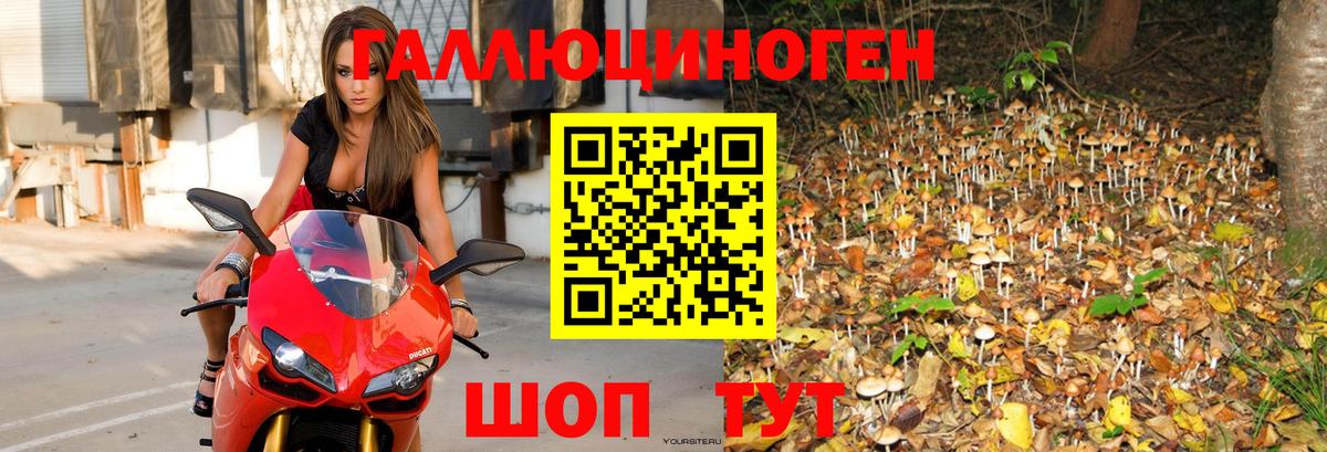 Галлюциногенные грибы GOLDEN TEACHER  Вход с VPN  купить наркотик  Кимовск 